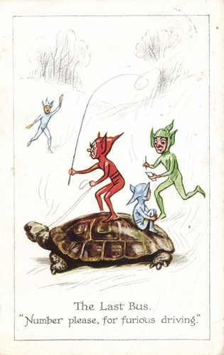 Fairies fantasy turtle - turtle, the