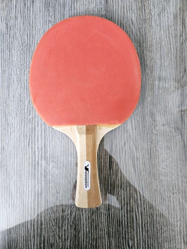 Raquette ping pong - raquette, vitory