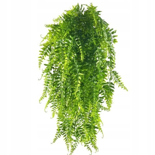 Fougère artificielle plante
