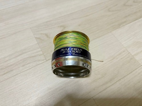 Bobine daiwa saltiga - bobine,