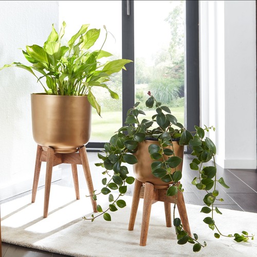 Finebuy lot pots - finebuy, 2