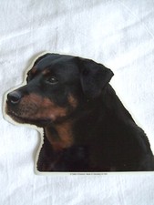 GRAND AUTOCOLLANT  - motif