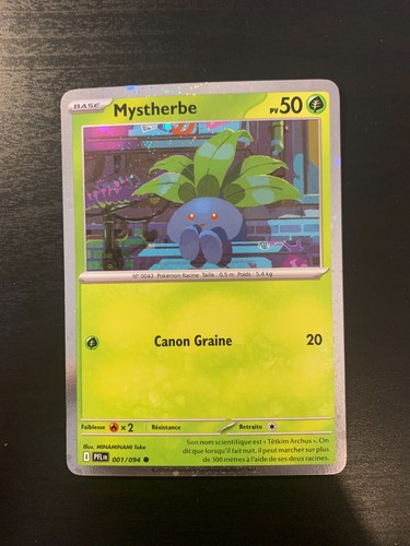 Carte pokémon holo - pokémon,
