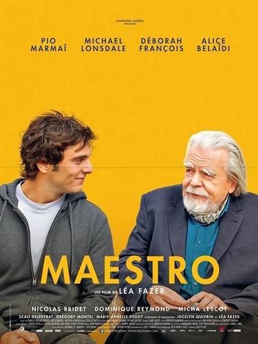 Affiche pliée 40x60cm maestro - pliée,