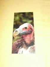 Nestlé WONDERS OF THE WORLD Card No. 358 "The Vultures" 