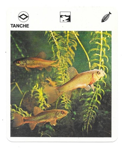 Fiche livre paris - fiche,