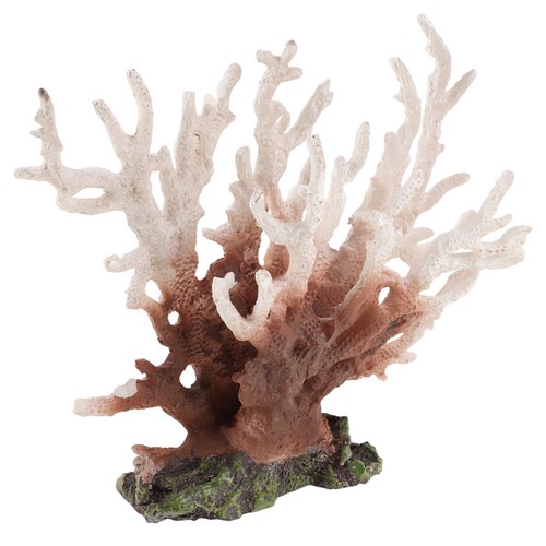 Accessoires pour aquarium - pour,