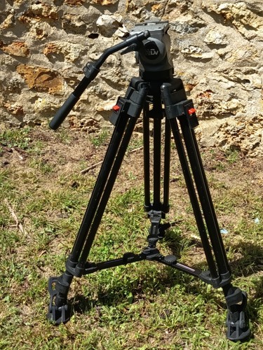 Cartoni hidv tète - cartoni, video