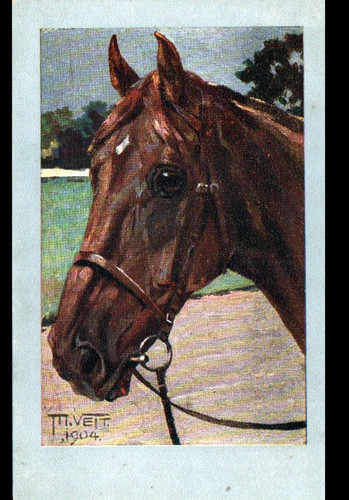 Art painting horse stallion - horse,
