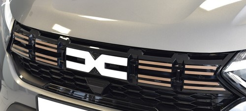 Plaque dacia sandero jogger - dacia,