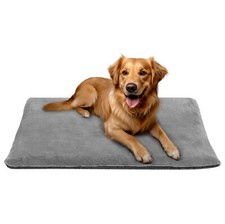 Coussin Chien - Tapis Chien
