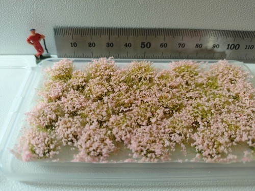 Fleurs plante miniature ho - plante,