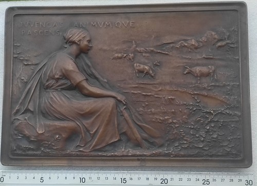 Grande plaque bronze - bronze, o