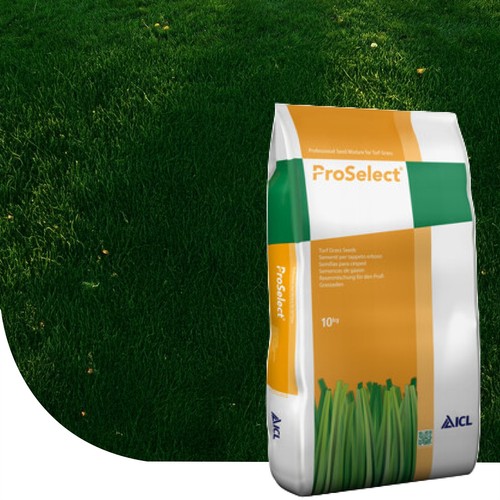 Gazon icl proselect - gazon,