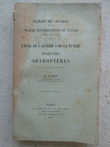 Finot insectes orthopteres - finot,
