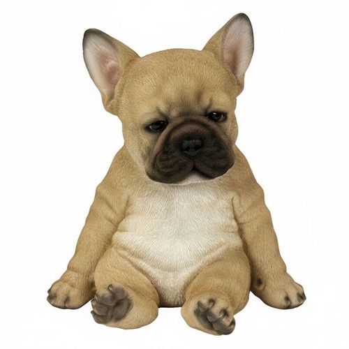 Statue chien français aux - de,