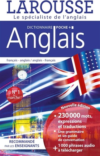 Livre larousse dictionnaire - livre,