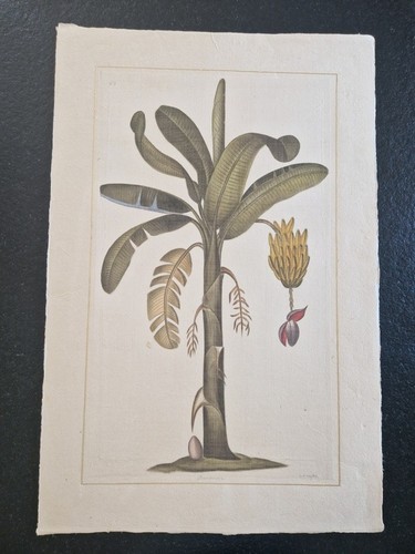 Roche laffitte aquarelle - roche,