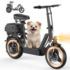 Electric Scooter with Seat