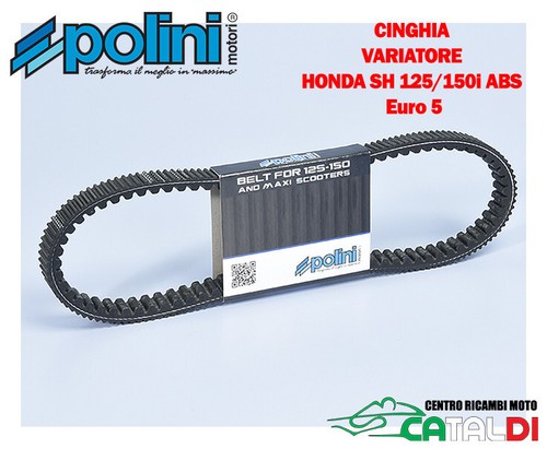 Courroie variateur polini pour - courroie,