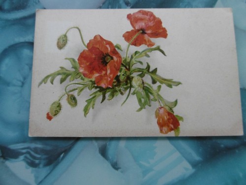 Cpa les coquelicots - cpa ,