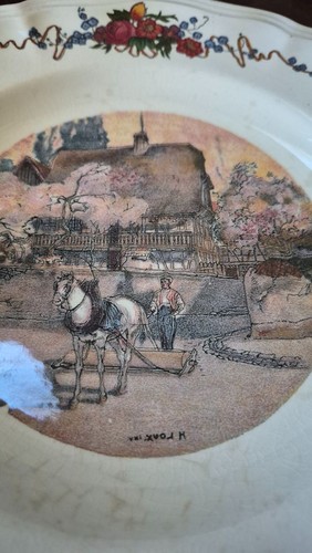 Assiette vintage sarreguemines - assiette,