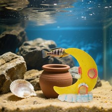  2 Pcs Décoration Aquarium