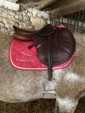 Tapis Chevaux  - Freejump