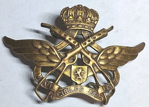 Insigne militaire belge - ,