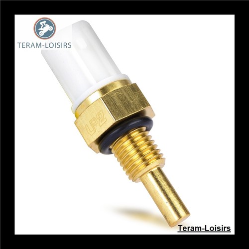 Sonde thermostat radiateur - sonde,