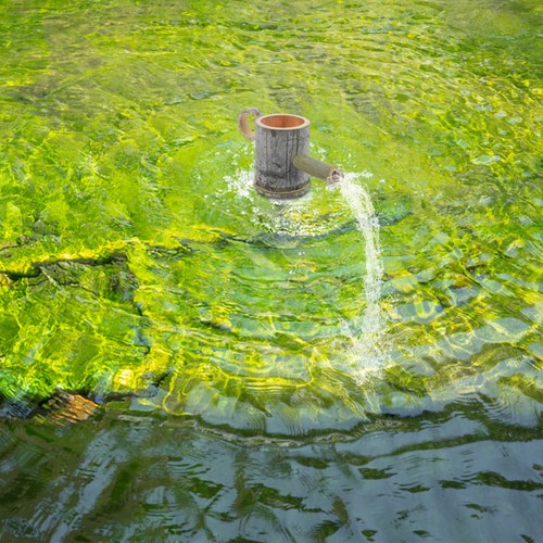 Fontaine aquarium petite - fontaine,