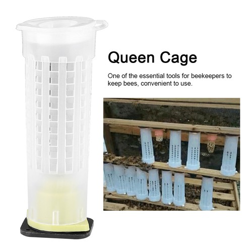 Lot cages d - lot, de