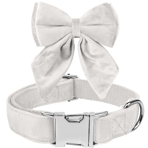 Noeud papillon chiens collier - chiens,,