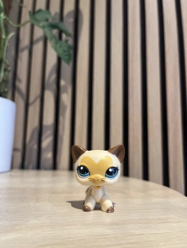 Littles petshop chat européen - littles,