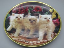 Cat Felines and Flowers Decorative Plate - Porcelain e-2720
