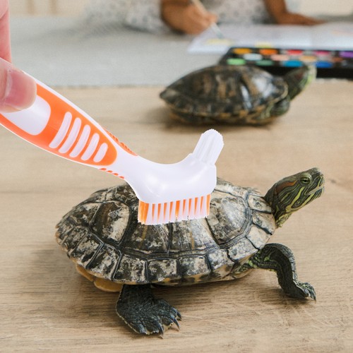 Nettoyeur aquarium brosse - nettoyeur,