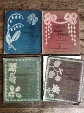 Album de guipure d'Irlande