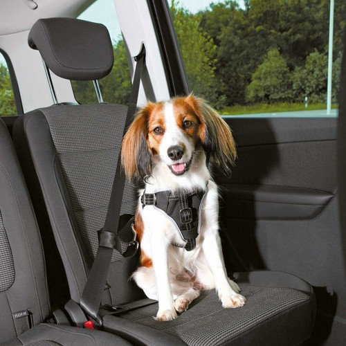 Harnais pour voiture - , dog