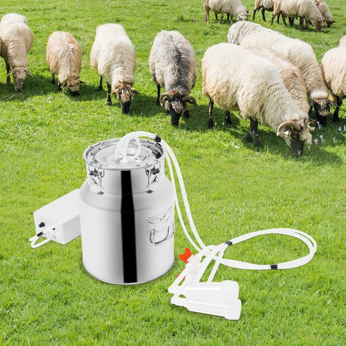 Electric cow milking - cow, machine