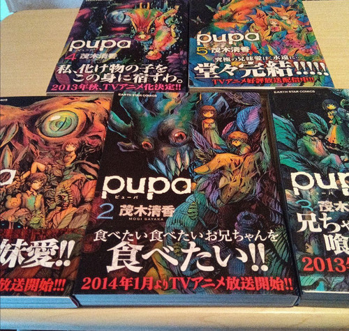 Pupa japanese ver - pupa,