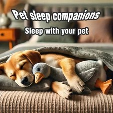 Jouet Canard Peluche 50 cm – Doux Anti-Stress pour Chiens et Chats, Compagnon Re