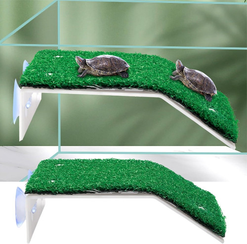 Plateforme tortue turtle - plateforme, tortue,turtle