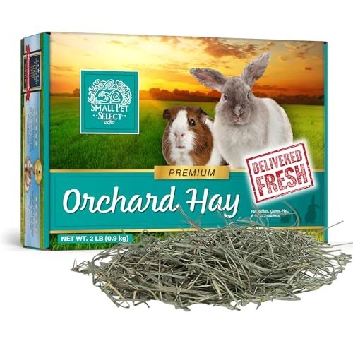 Orchard grass hay pet - grass, food