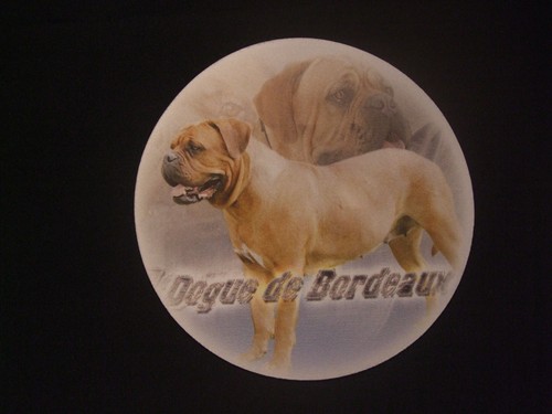 Tapis souris dogue de - tapis,