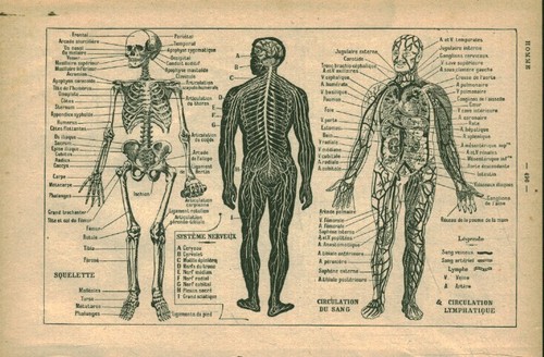 Document ancien circulation