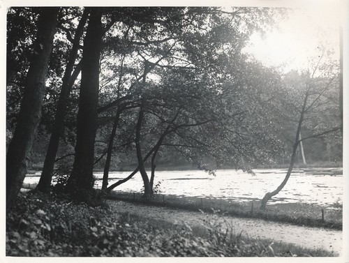 Bois cucufa 1935 - st, c.