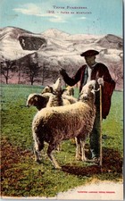 65 LES PYRENEES - in the mountains