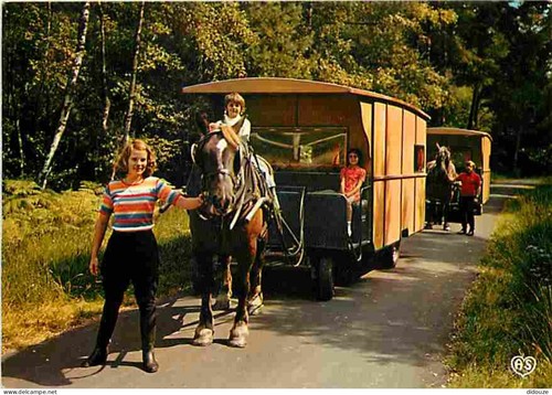Carte postale animaux - postale,