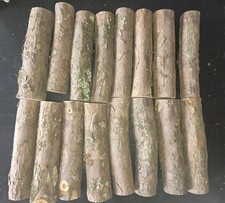 Lot bois d’IF Tournage