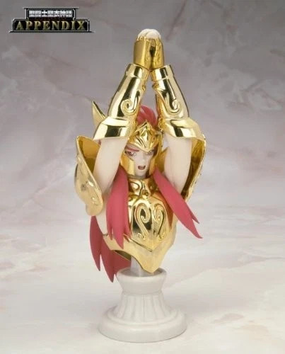 Occasion saint seiya - seiya,